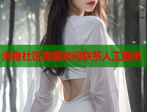 海角社区客服如何联系人工服务  第1张