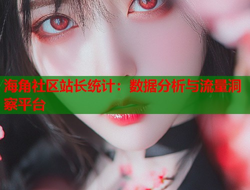 海角社区站长统计：数据分析与流量洞察平台