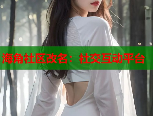 海角社区改名：社交互动平台  第1张