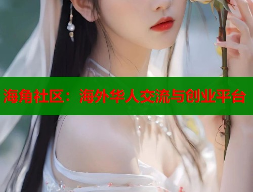 海角社区：海外华人交流与创业平台  第1张