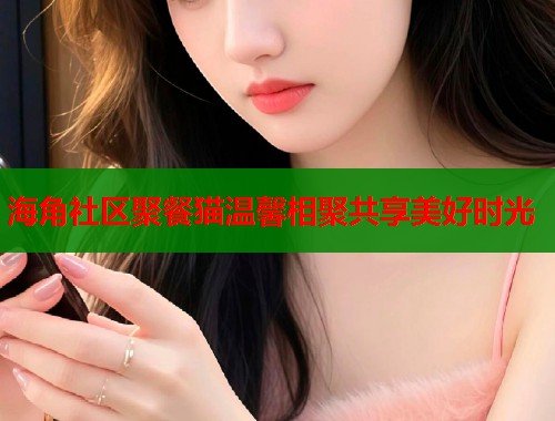 海角社区聚餐猫温馨相聚共享美好时光