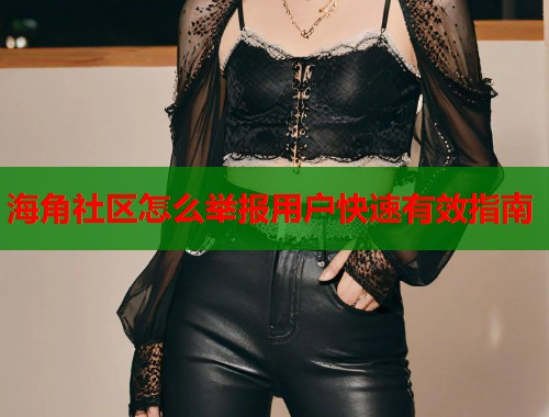 海角社区怎么举报用户快速有效指南 第1张 海角社区怎么举报用户快速有效指南 第1张